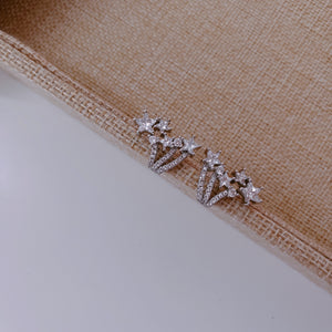 Meteor Earring/ Pair