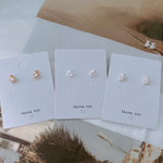 Load image into Gallery viewer, S925 Bear Family Ear Studs/ Pair
